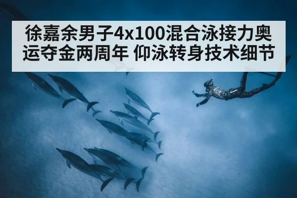 徐嘉余男子4x100混合泳接力奥运夺金两周年 仰泳转身技术细节